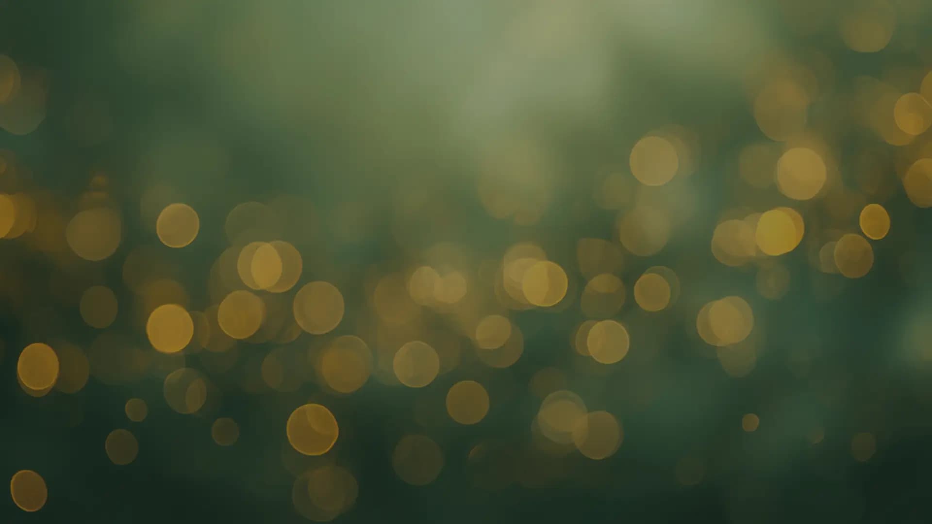 Filix Agency - Agence web éco-responsable